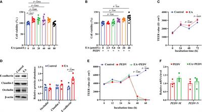 Protective effects and mechanisms of ellagic acid on intestinal injury in piglets infected with porcine epidemic diarrhea virus